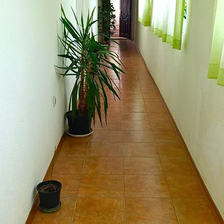 ,,лозница гт