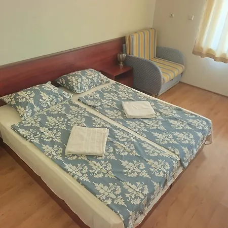 ,,лозница гт 3*